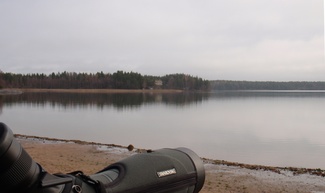 Kaarina/Lieto, Littoistenjärvi - Turun Lintutieteellinen Yhdistys ry